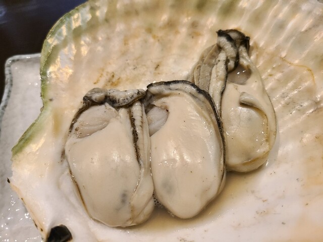 생선이 정말 맛있는 술집