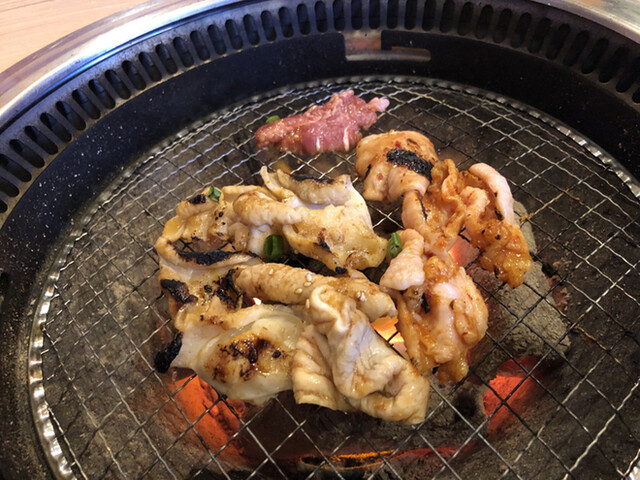 근처의 지포 호르몬...