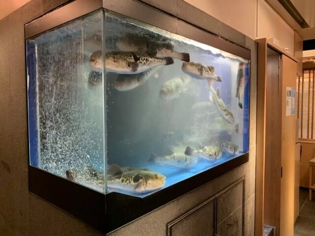 가끔은 고급스러운 식사를 해도 괜찮죠? 마츠토에서 맛볼 수 있는 투라후구… 투라후구정 마츠토점