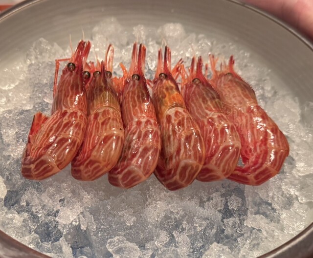 While enjoying the beautiful courtyard, I enjoyed the delicious sushi prepared by the skilled chef Sano. It was a moment of pure happiness! Both my body and mind were refreshed♪