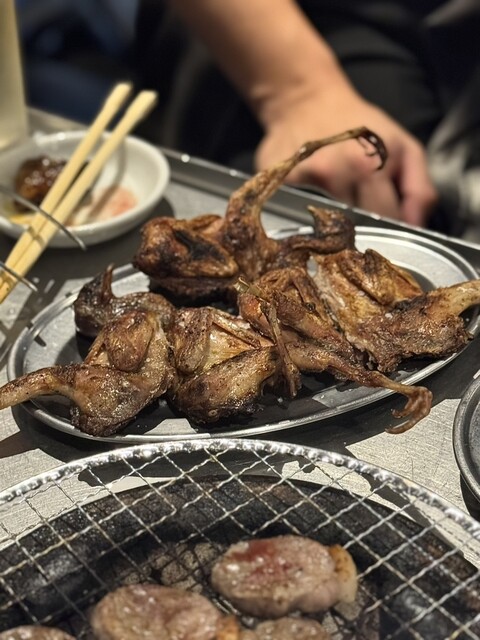 말코손이빗뒤꼬리호랑지