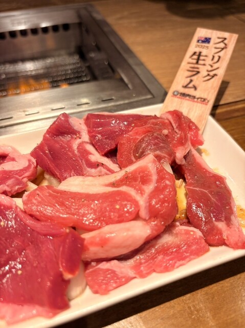 ⭐️ 생양고기가 맛있어요! ^_^