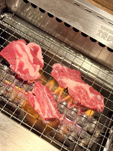 ⭐️ 생양고기가 맛있어요! ^_^