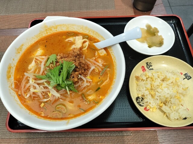 대만 라멘과 미니 볶음밥