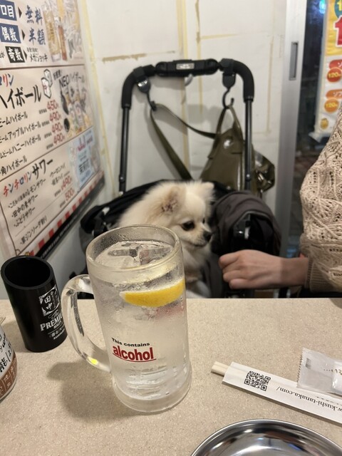 반코 오케