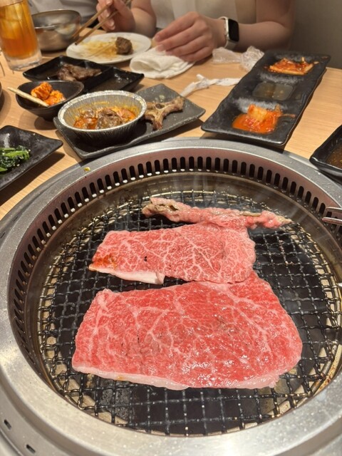 【和牛放題の殿堂 秋葉原 肉屋横丁 焼肉】 코스:和牛가 가득한 코스 + 음료 무제한 (100분) \8,300