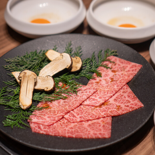 밤 풍경을 바라며☆