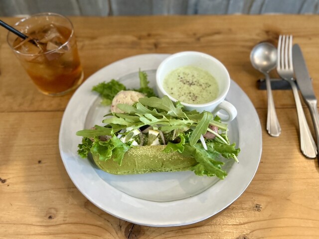 센스가 넘치는 식물들이 가득해서 정말 멋져요(*´艸`*)