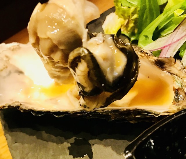 クイックドリンクガイド 大阪南編 第1巻：このレストランから始めましょう！