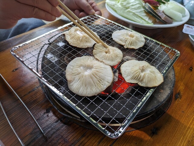 今年もまた、Shiitake En Arimafujiでしいたけを楽しみに来ました!😊