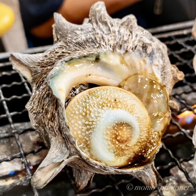 ランチ用の焼き海鮮
