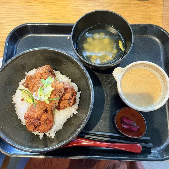 프레시먼 코트에서 선택한 이곳입니다.