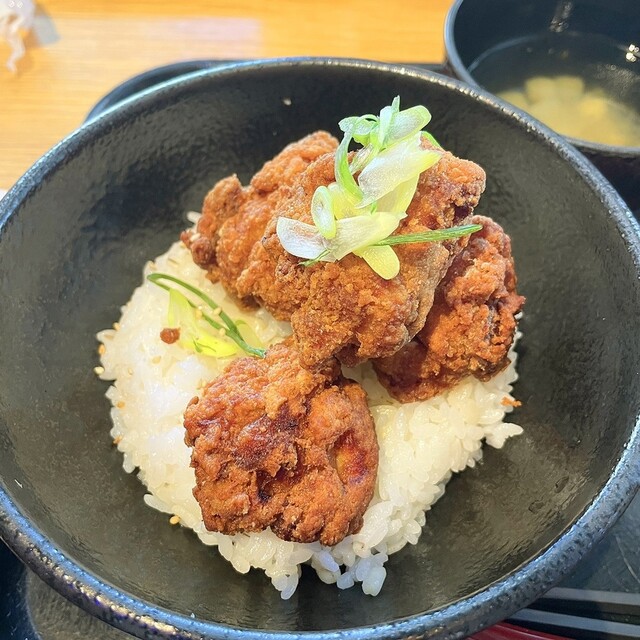 프레시먼 코트에서 선택한 이곳입니다.