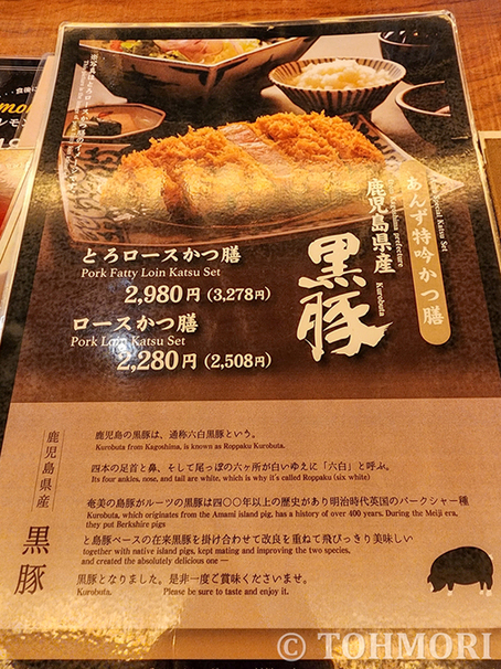 【福岡・原田】スパイスの風味がしっかりした博多黒カレーに、サクサクのロースカツ! | 遠森一郎の「ゆるっと写真雑記」